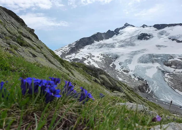 Gaestehaus Garber Διαμέρισμα *