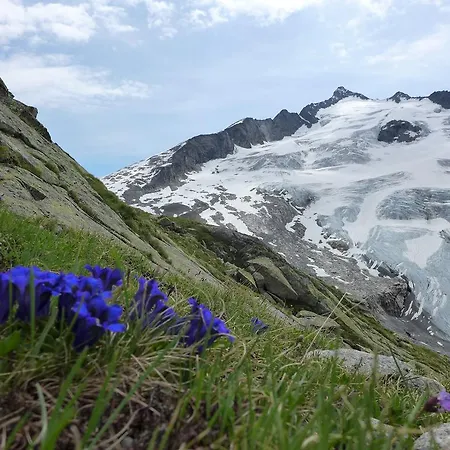 Gaestehaus Garber Daire *